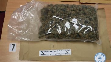 mp istarska policija marihuana droga pu istarska