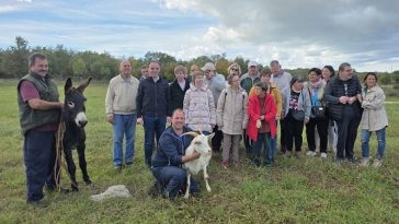 Foto Grad Poreč - obilazak koza u Velenikima