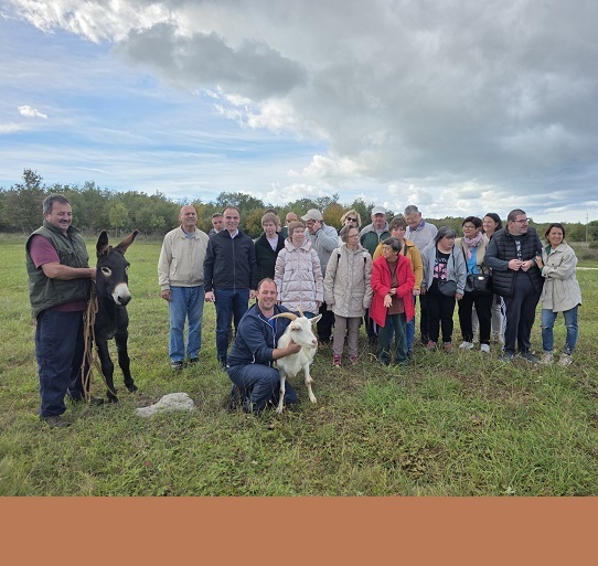 Foto Grad Poreč - obilazak koza u Velenikima