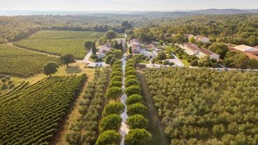 virtuoso reprot meneghetti istra bale