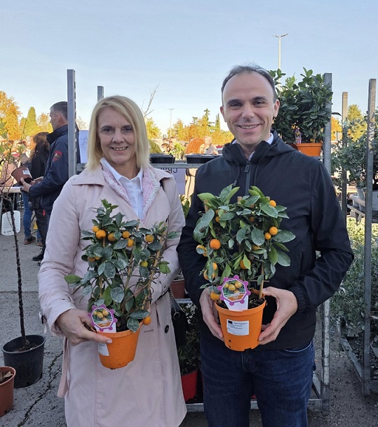 Podjela sadnica na Velikom parkiralištu - Foto Grad Poreč