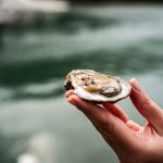 Foto Dino Radmanović