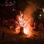 brest učka žbevnica festival šuma i šumskih plodova