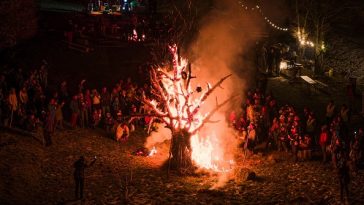 brest učka žbevnica festival šuma i šumskih plodova