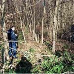 šuma šumska policija očevid