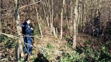 šuma šumska policija očevid