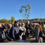 Podjela sadnica na Velikom parkiralištu - Foto Grad Poreč