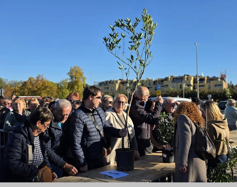 Podjela sadnica na Velikom parkiralištu - Foto Grad Poreč