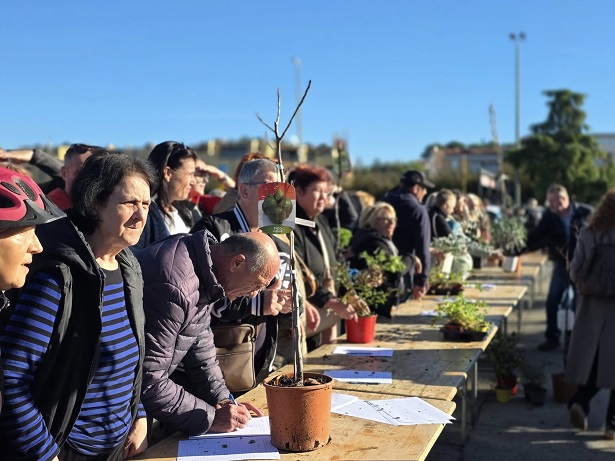 Podjela sadnica na Velikom parkiralištu - Foto Grad Poreč