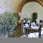 Udruga maslinara središnje Istre poziva sve maslinare da i ove godine sudjeluju na 3. Smotri maslinovog ulja središnje Istre