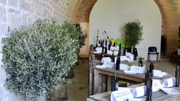 Udruga maslinara središnje Istre poziva sve maslinare da i ove godine sudjeluju na 3. Smotri maslinovog ulja središnje Istre