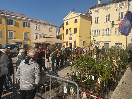Podjela sadnica za proslavu sv. Martina u Vrsaru