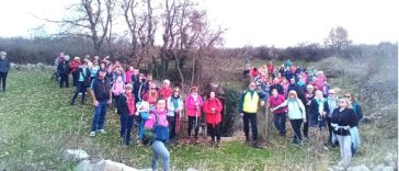 PJEŠAČENJE PJEŠACI