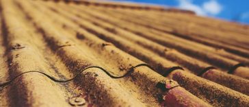 Image by Karolina Grabowska from Pixabay azbest krov grad poreč javni natječaj moj poreč bez azbesta