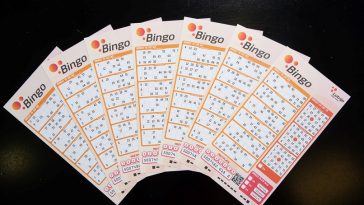 Bingo - Foto Hrvatska lutrija