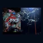 Višnjanski vatrogasci spasili psa iz jame duboke 30 metara