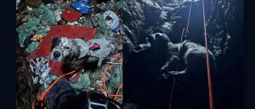 Višnjanski vatrogasci spasili psa iz jame duboke 30 metara