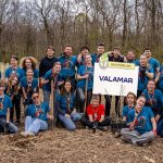 akcija pošumljavanja motovunska šuma valamar