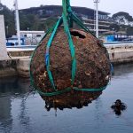 Foto Vatrogasci Rovinj