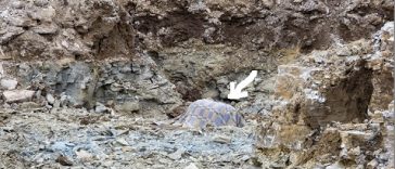 bomb pazin gradilište policija pixsell