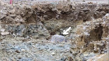 bomb pazin gradilište policija pixsell