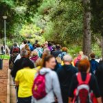 Foto Zdravi grad Poreč