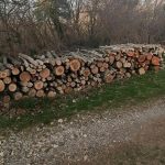drva ogrjev šuma policija mup