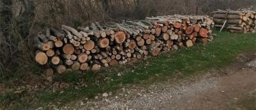drva ogrjev šuma policija mup