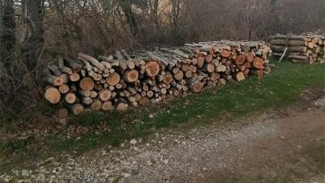 drva ogrjev šuma policija mup