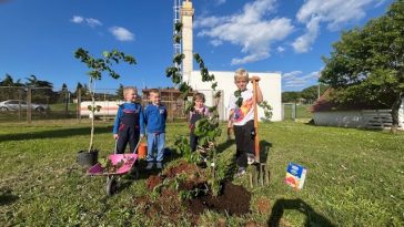 Djeca DV Tići iz Vrsara i Funtane obilježila Dan planeta Zemlje eko akcijom dječji vrtić tići