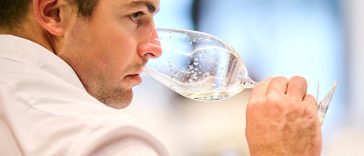 Presica uoči Vinistre - Foto Merlo de Graia