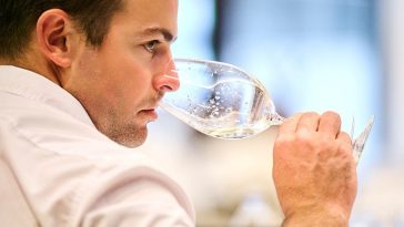 Presica uoči Vinistre - Foto Merlo de Graia