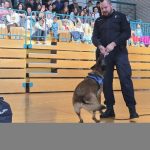 Foto Policijska uprava istarska