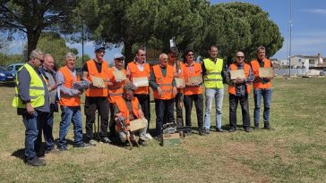 Nacionalni šampionat u rezidbi maslina u Taru-Vabrigi 2026.