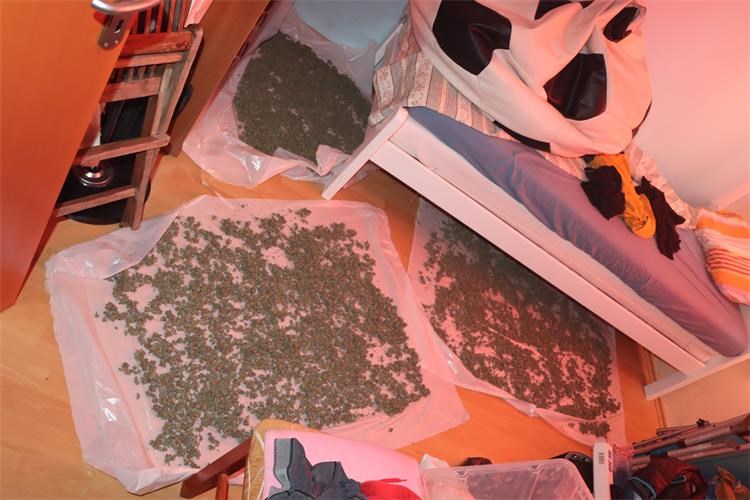 Foto Istarska policija - droga na području Kaštela
