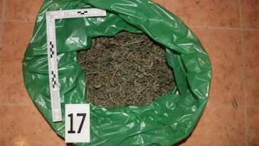 Foto Istarska policija - droga na području Kaštela