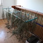 Foto Istarska policija - droga na području Kaštela