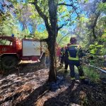 Foto DVD Lampo Tar-Vabriga - Šumski požar u Kontiji kod Vrsara
