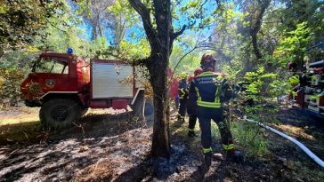 Foto DVD Lampo Tar-Vabriga - Šumski požar u Kontiji kod Vrsara