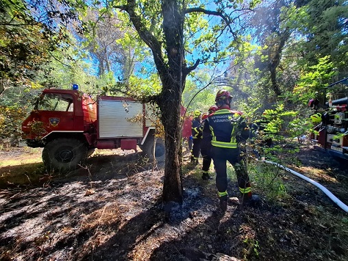 Foto DVD Lampo Tar-Vabriga - Šumski požar u Kontiji kod Vrsara