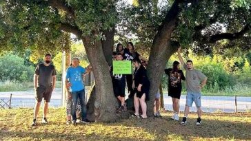 Foto Zelena Istra
