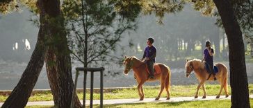 Foto TZ Novigrad