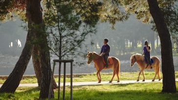 Foto TZ Novigrad