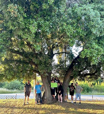 Foto Zelena Istra