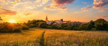 Žminj