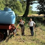 baa lokva šuma životinje pune pojilišta foto grad poreč