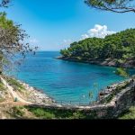 obala šuma more priroda plaža nature hrvatska cres pixabay