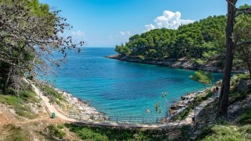 obala šuma more priroda plaža nature hrvatska cres pixabay