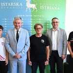 boris miletić aleksandar majkić