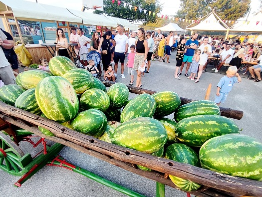 Foto Tanja Kocijančić